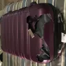 Mango Airlines - destroyed luggage