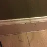 Super 8 - filthy rooms, rude staff - Photo 1