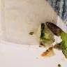 Panera Bread - cockroach - Photo 1