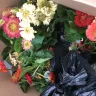 Gardening Express - quality and customer service - Photo 1