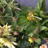 Gardening Express - quality and customer service - Photo 2