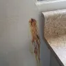 Hotels.com - unsafe and dishonest hotel listing - Photo 8