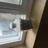 Baymont Inn & Suites - customer service complaint - Photo 2