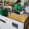 Dollar Tree - service