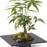 Teleflora - worst florist service of all time!!! - Photo 1