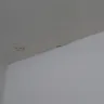 Motel 6 - black mold growing in the bathroom - Photo 1