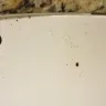 Embassy Suites - room was disgusting - Photo 1