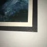 Embassy Suites - room was disgusting - Photo 5