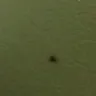 Motel 6 - complaint number 1389829 - Photo 5