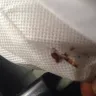 Aaron's - there from one of your employees - Photo 3