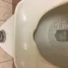 Safeway - restrooms - Photo 4