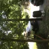 Con Edison - telephone pole held in place by my tree - Photo 3