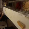 Jimmy John's - sandwich - Photo 1