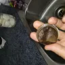 Keurig Green Mountain - mcdonalds coffee pods - Photo 2