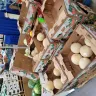 Sam's Club - produce dept-understocked - Photo 2