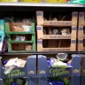 Sam's Club - produce dept-understocked - Photo 4