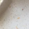Captain D's - hair being found in my food - Photo 2