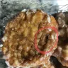 Sam's Club - earwig found on an apple fritter bought from sams on 6/23/2018