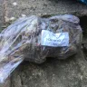 Gardening Express - Numerous plants - Photo 1