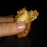 Whataburger - honey butter chicken biscuit - Photo 1