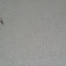 Baymont Inn & Suites - owners, cleanliness of rooms, horrible experience - Photo 7