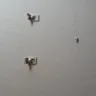 Baymont Inn & Suites - owners, cleanliness of rooms, horrible experience - Photo 8