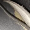 Baymont Inn & Suites - customers services/ room hazards/ cleaning & staff - Photo 4