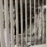 Baymont Inn & Suites - customers services/ room hazards/ cleaning & staff - Photo 20