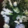 Bloomex - quality and customer service - Photo 1
