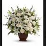 Bloomex - quality and customer service - Photo 4