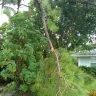 Florida Power & Light [FPL] - power pole change out - Photo 2