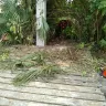 Florida Power & Light [FPL] - power pole change out - Photo 3