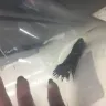 Meijer - pet supplies / fish - Photo 1