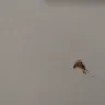 Days Inn - room and cleanliness and failure to respond. - Photo 1