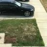 Ryan Homes - Lawn - Photo 2