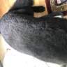 Petco - grooming - Photo 2