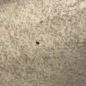 InTown Suites - bed bugs - Photo 4