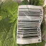 Coles Supermarkets Australia - coles - Photo 5