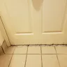 Motel 6 - motel 6, 311 central city blvd, galveston, tx 77551 - Photo 6