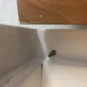 Days Inn - uncleanliness and bugs - Photo 2
