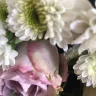 Prestige Flowers - flower delivery
