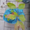 Gardening Express - Unacceptable plants.. Dried out.. Brown curled leaves... - Photo 2