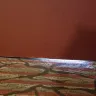 Hotels.com - red roof inn - Photo 11