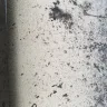 Arby's - daphne alabama mold, mold mold - Photo 2
