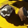 Woolworths - rotten coconuts - Photo 1