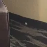 Days Inn - horrible condition of guest rooms - Photo 6