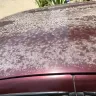 Nissan - sunny - Photo 12