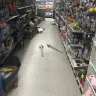 Dollar General - the store - Photo 1