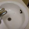 Days Inn - health and privacy act - Photo 1