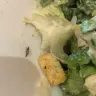 LongHorn Steakhouse - cleanliness/food - Photo 1